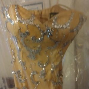 Nina Canacci 7005 Prom dress.